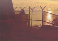 COVID-19�� �ҵ���, ���� ���⼺(directivity)