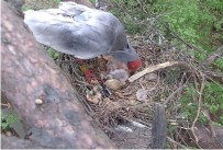 �������⡯ ���� ���� 42�� ���� ù �߻���ȭ ����