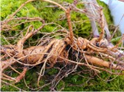 100�� ���� ��� �߰�, ������ 9000�����������ɺô�! �����꼭