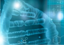 �����Ƿ��� �������� �ٶ� ���������� ����