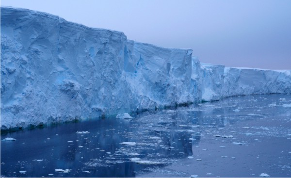 ��ȭ����� ���ĺ�ȭ