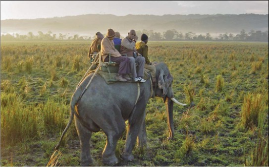 �����ڿ���������