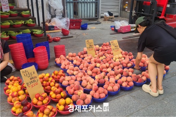 �߼� �յΰ� ������, ��� �� ���ϰ� ������