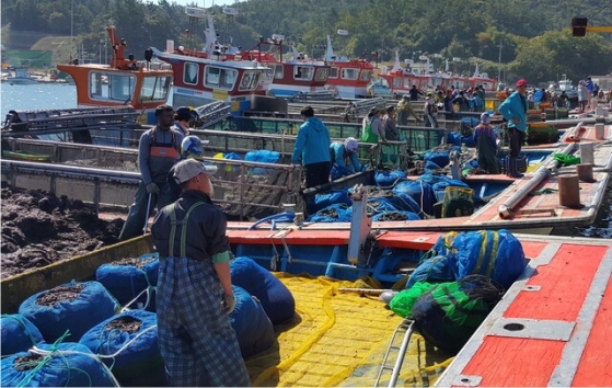 ���� �� ���� ��� ���� 3�� �޷� ��ȸ