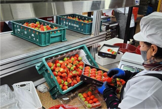 ���ֽ�, ���� 