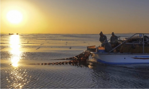 ������ �泲 �����ǰ ���� 2��3100�� �޷���