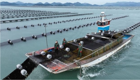 ������, ������ �� ���� 4��3000�� �޷� ����