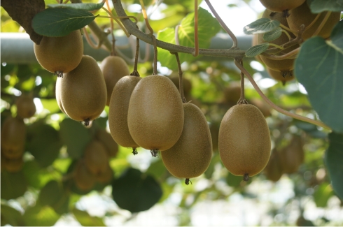 ���ֻ� Ű�� �������� ���� ������2023����� 500�� ����